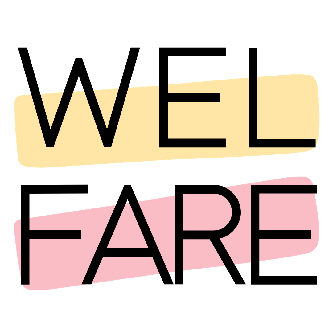 Il welfare come strumento di benessere